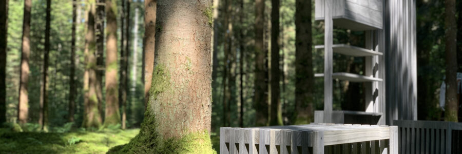 Funktionalität und Ästhetik